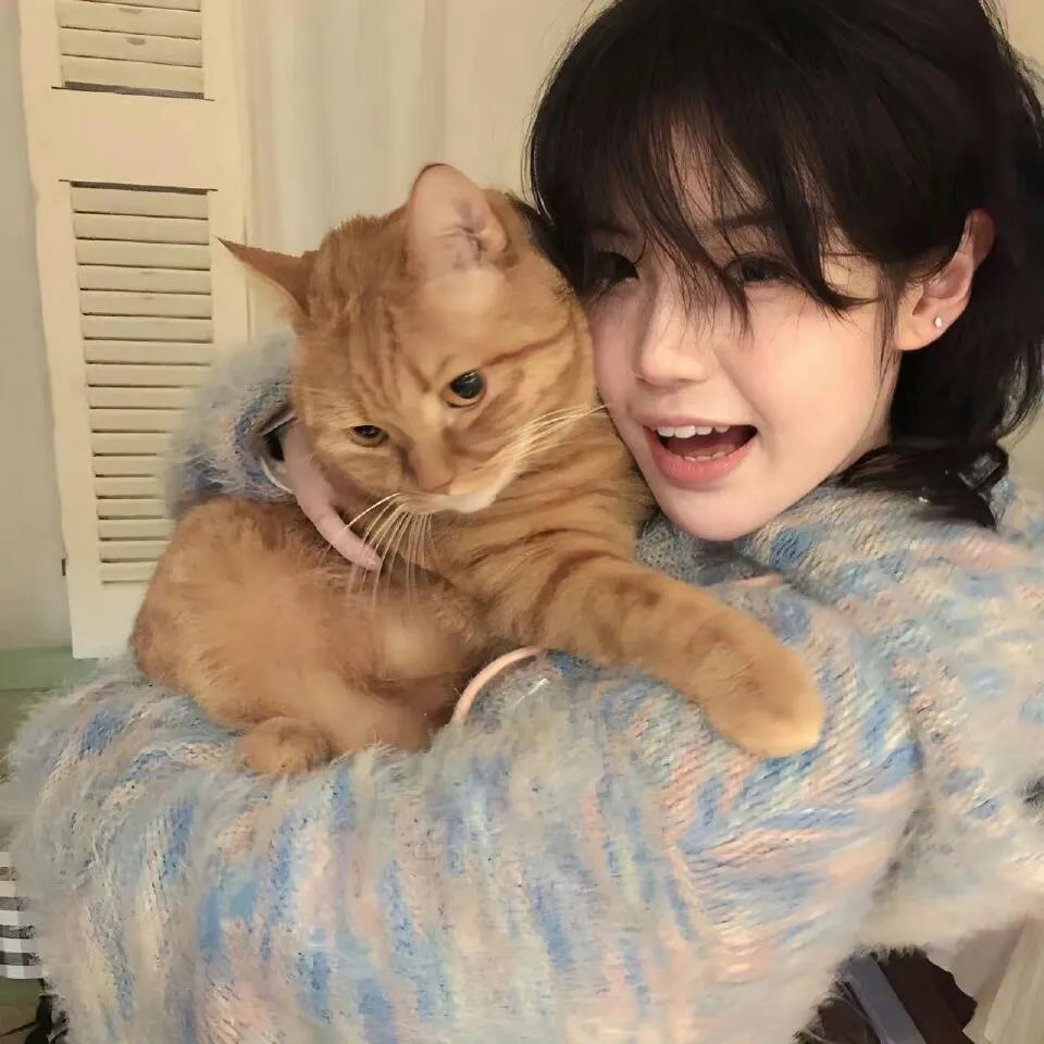 海蒂 (2005年电影)